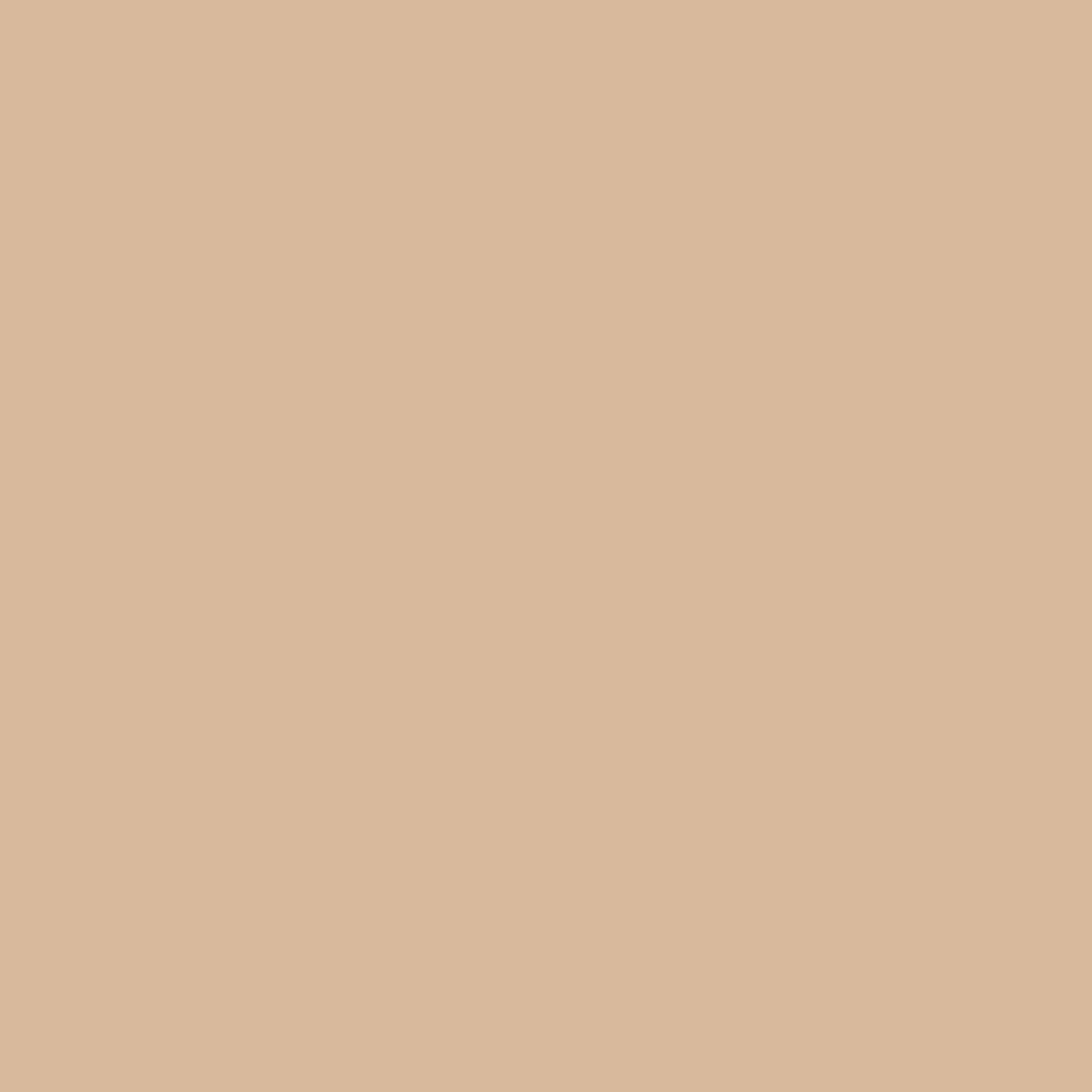 Nude - Google Pixel Case
