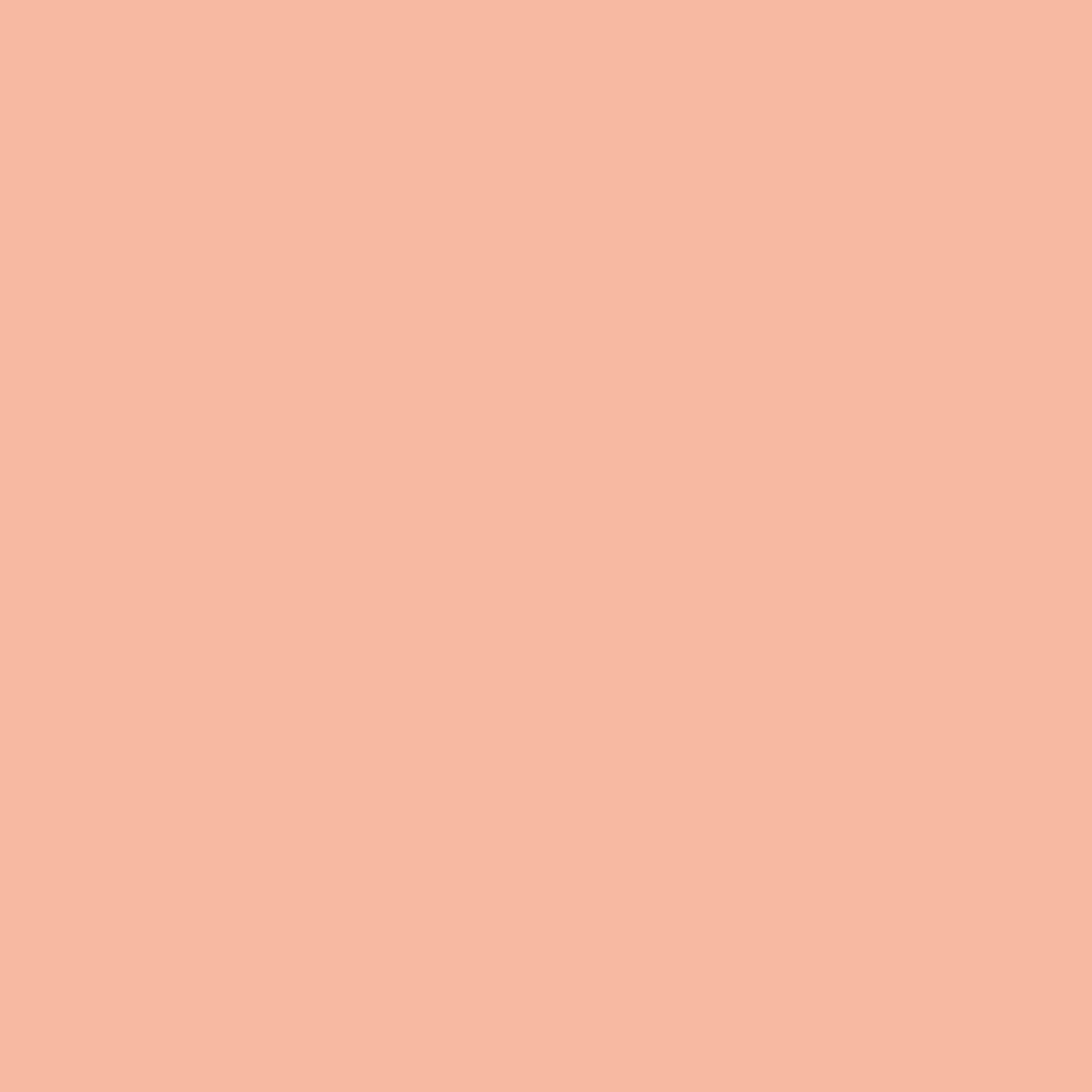 Peachy - Magsafe iPhone Case Phone Case-aesthetic phone case-shockproof phone case-cute phone case-designer phone case-elegant phone case-luxury phone case-phone accessories-fashion accessory