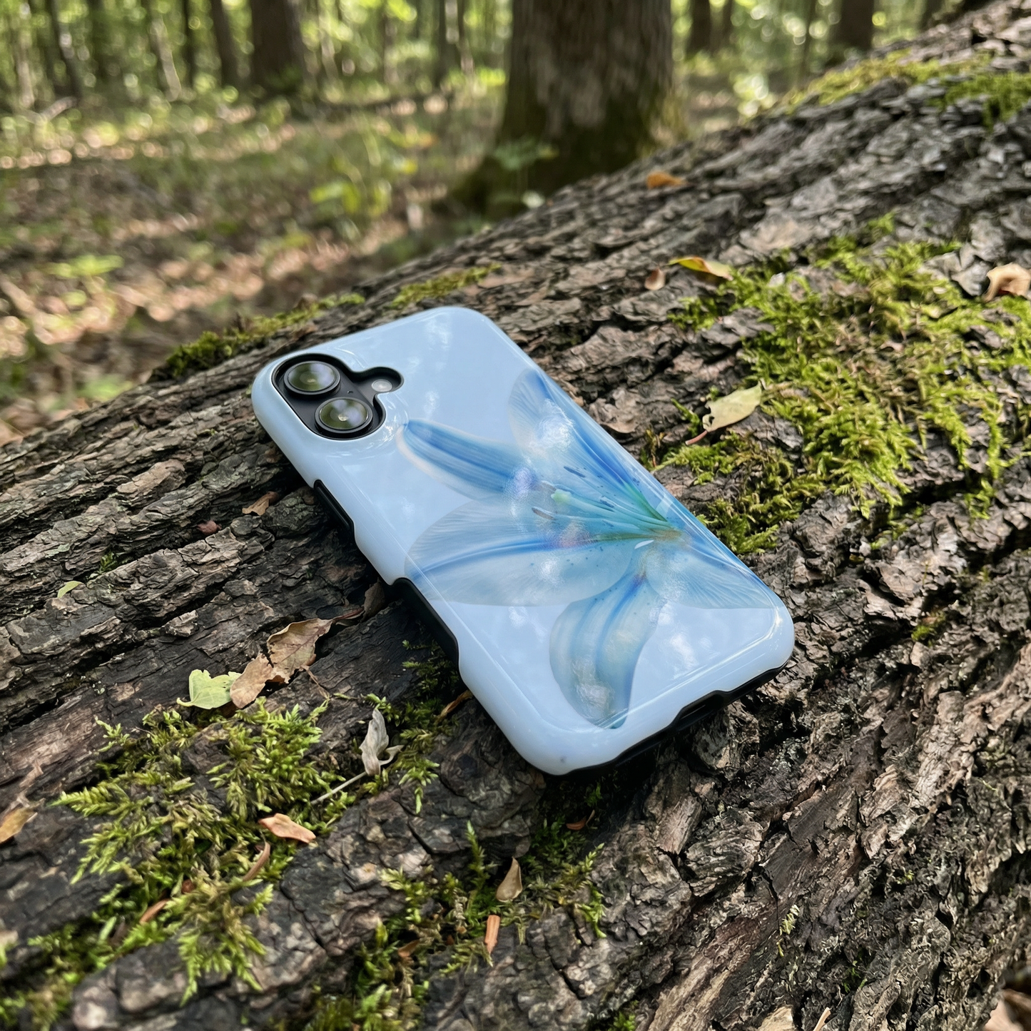 iPhone case with a blue floral phone case on a tree trunk in a forest